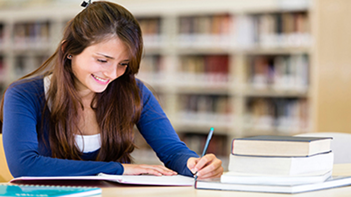 Essay Writing Service